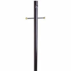 Black Lamp Post With Cross Arm And Photo Eye