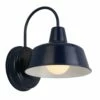 Mason Indoor/Outdoor Wall Light In Navy Blue