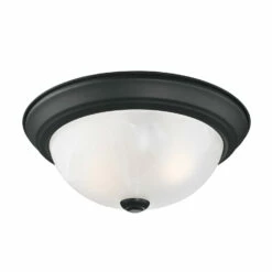 Traditional Ceiling Light In Matte Black, 2-Light, 2-Pack 12 Traditional Ceiling Light In Matte Black, 2-Light, 2-Pack -US Home Sales Store matte ceiling 2 light matte black 2 pack 6