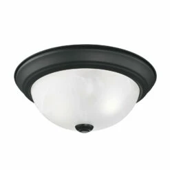 Traditional Ceiling Light In Matte Black, 2-Light, 2-Pack 13 Traditional Ceiling Light In Matte Black, 2-Light, 2-Pack -US Home Sales Store matte ceiling 2 light matte black 2 pack 7