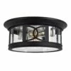 Summit Outdoor Ceiling Light In Textured Matte Black